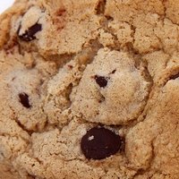 Cookie Naken